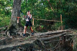 BIB: 
                            <button type="button" onclick="openModal(27543834)" class="btn btn-primary btn-sm float-right btn-popup" data-toggle="modal" data-target=".modal-high-quality">
                        <i class="fas fa-shopping-cart"></i> Add to Cart
                    </button>
                                            <button type="button" onclick="isThisMe(27543834, true)" class="btn btn-success btn-sm float-right btn-popup btn-isme hidden" data-toggle="tooltip" data-placement="bottom" title="นี่คือรูปของคุณใช่ไหม คลิกที่นี่เพื่อเอาเข้าอัลบั้ม">
                        <i class="fas fa-plus"></i> Add to album
                    </button>
                    <button type="button" onclick="isThisMe(27543834, false)" class="btn btn-warning btn-sm float-right btn-popup btn-isnotme hidden">
                        <i class="fas fa-ban"></i> Remove from album
                    </button>